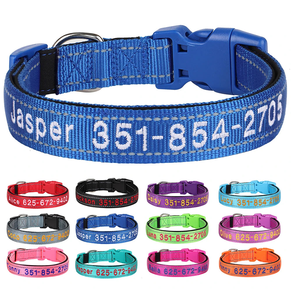 Collier pour chien