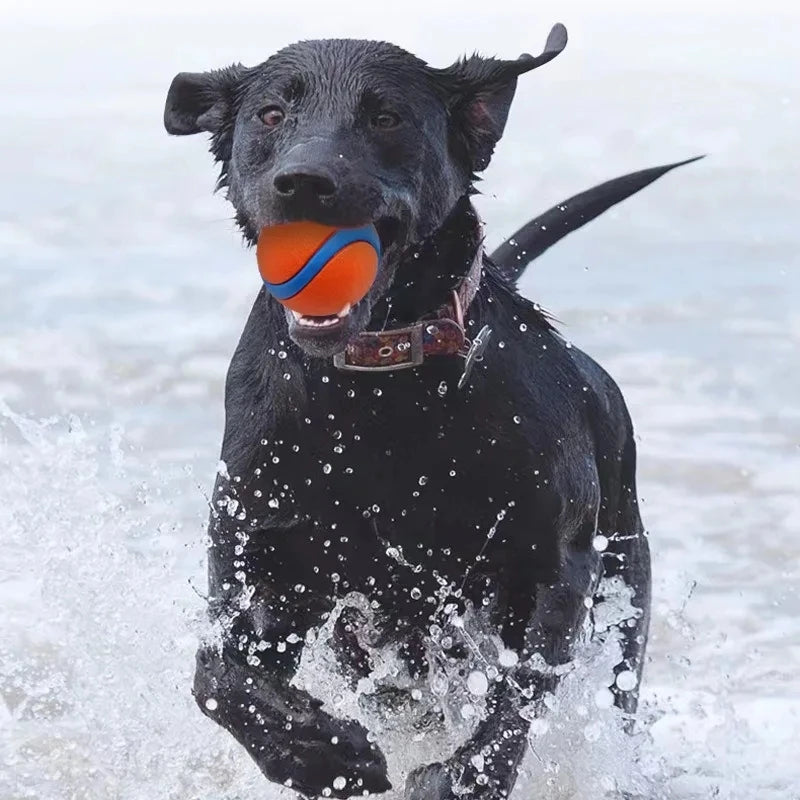 Balle résistante pour chien, jouet à rapporter