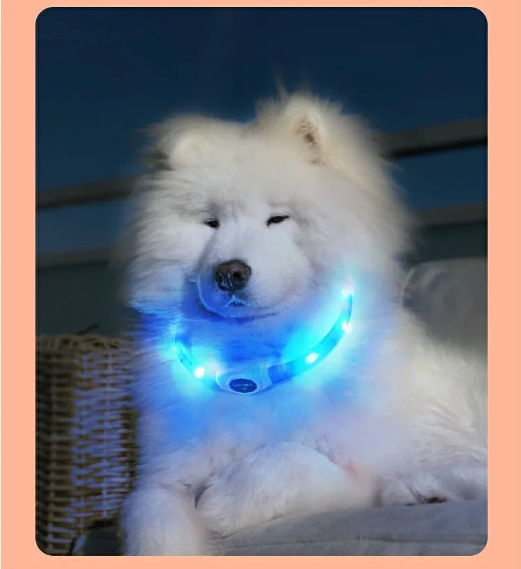 Collier lumineux LED étanche en PVC