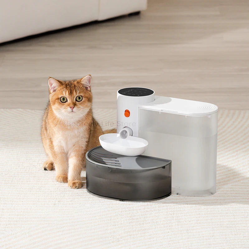 Fontaine à eau avec distributeur d'eau en mouvement, sans fil