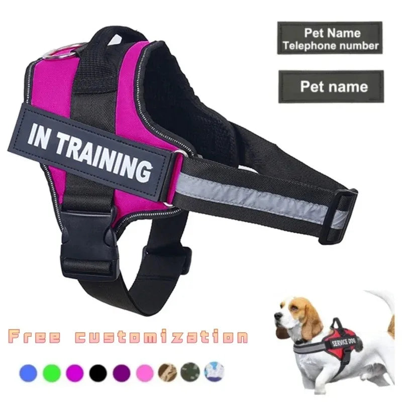 Harnais pour chien personnalisé, réfléchissant et réglable