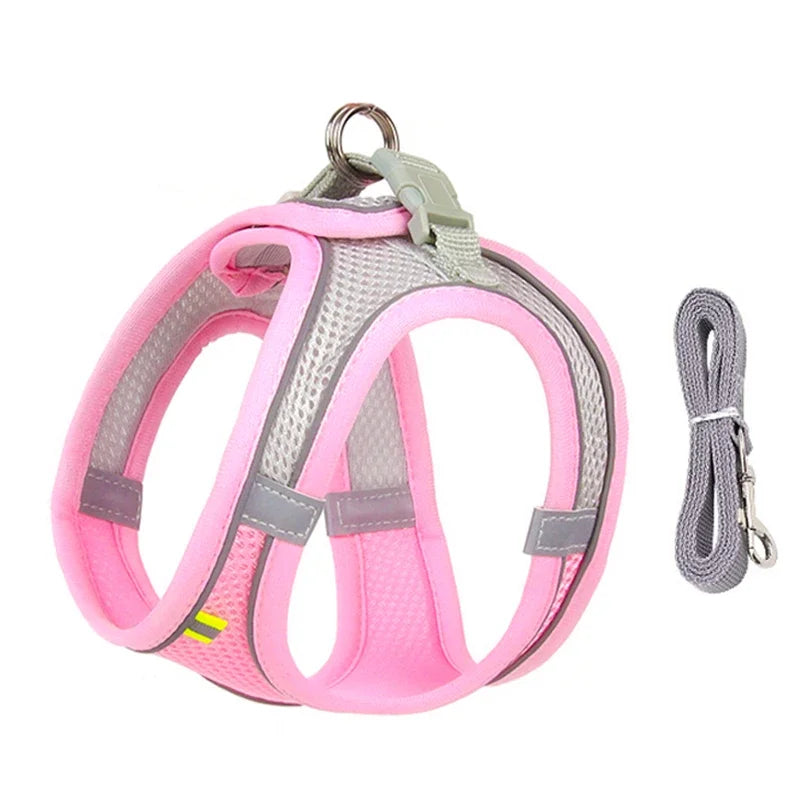 Ensemble harnais pour chiot