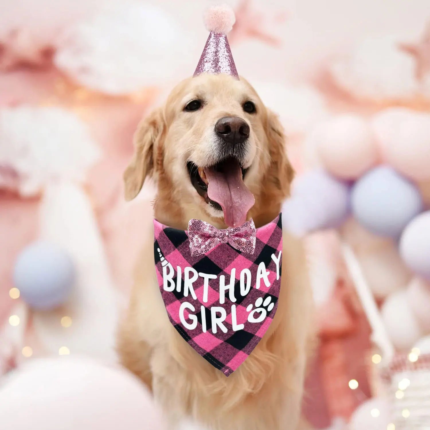 Ensemble de 4 articles pour fête d'anniversaire de chien : bandana « Birthday Boy », chapeau d'anniversaire avec chiffres pour chiens