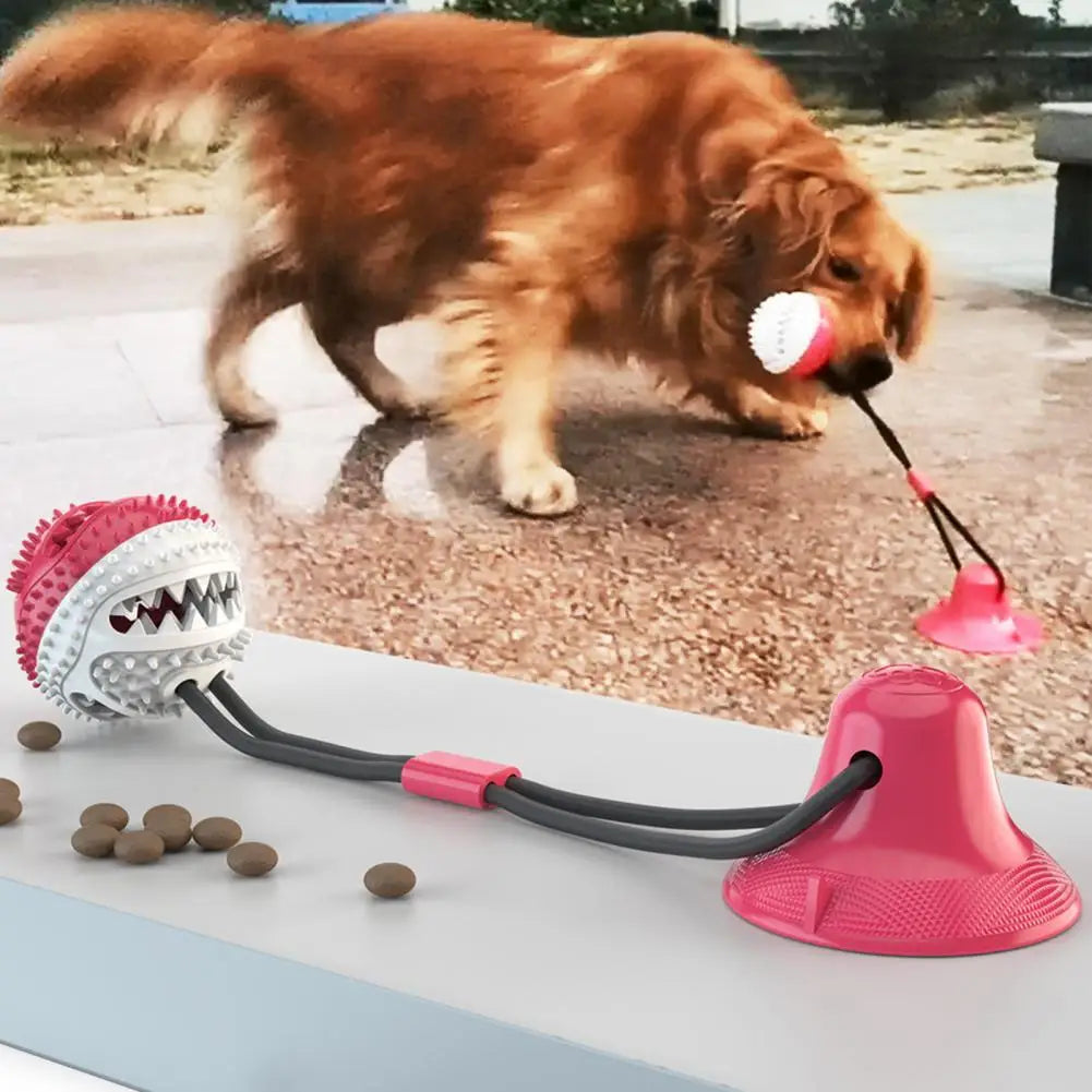 Jouet pour chien