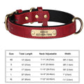 Collier pour chien