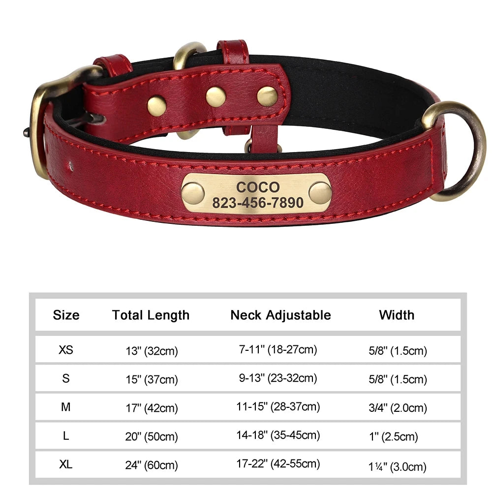 Collier pour chien