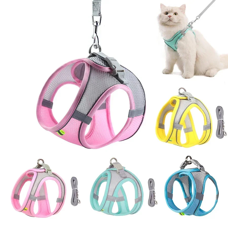 Ensemble harnais et laisse pour petits chiens (bouledogue français, chihuahua, carlin)