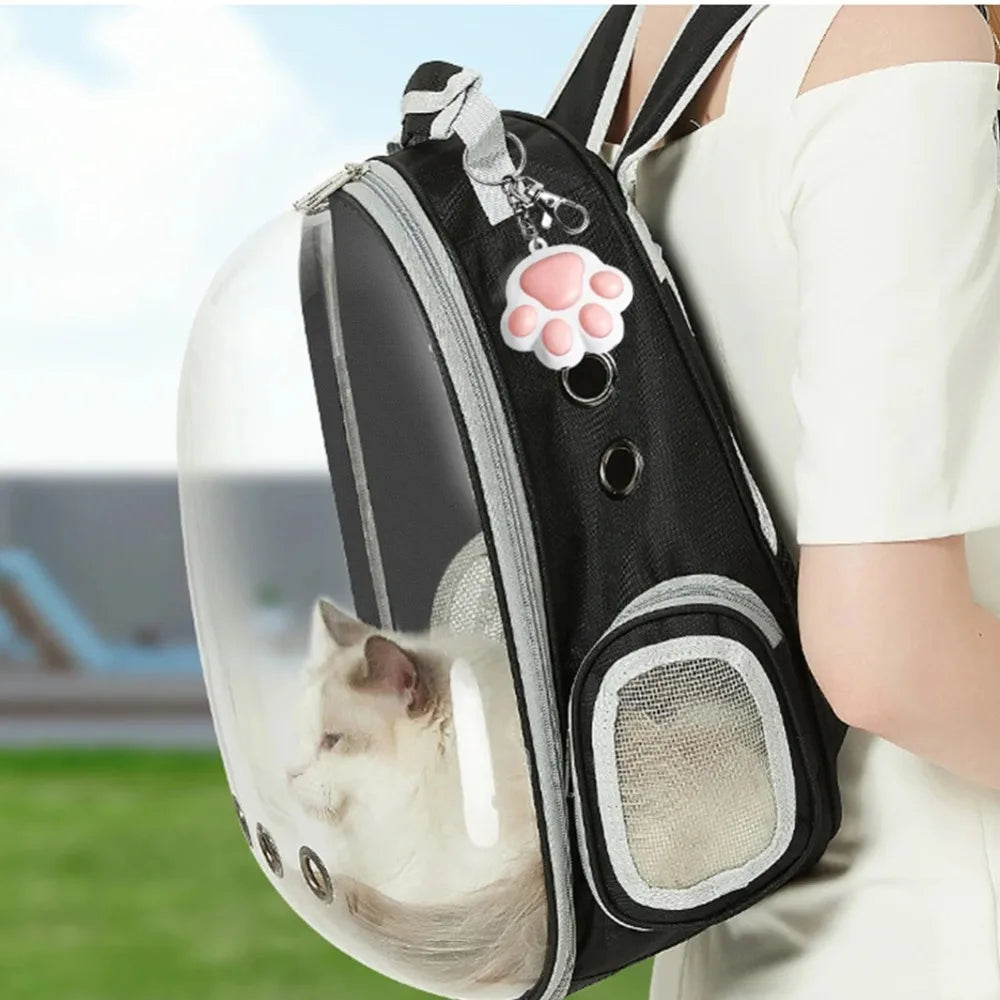 Jouet laser en forme de patte pour chat, rechargeable par USB
