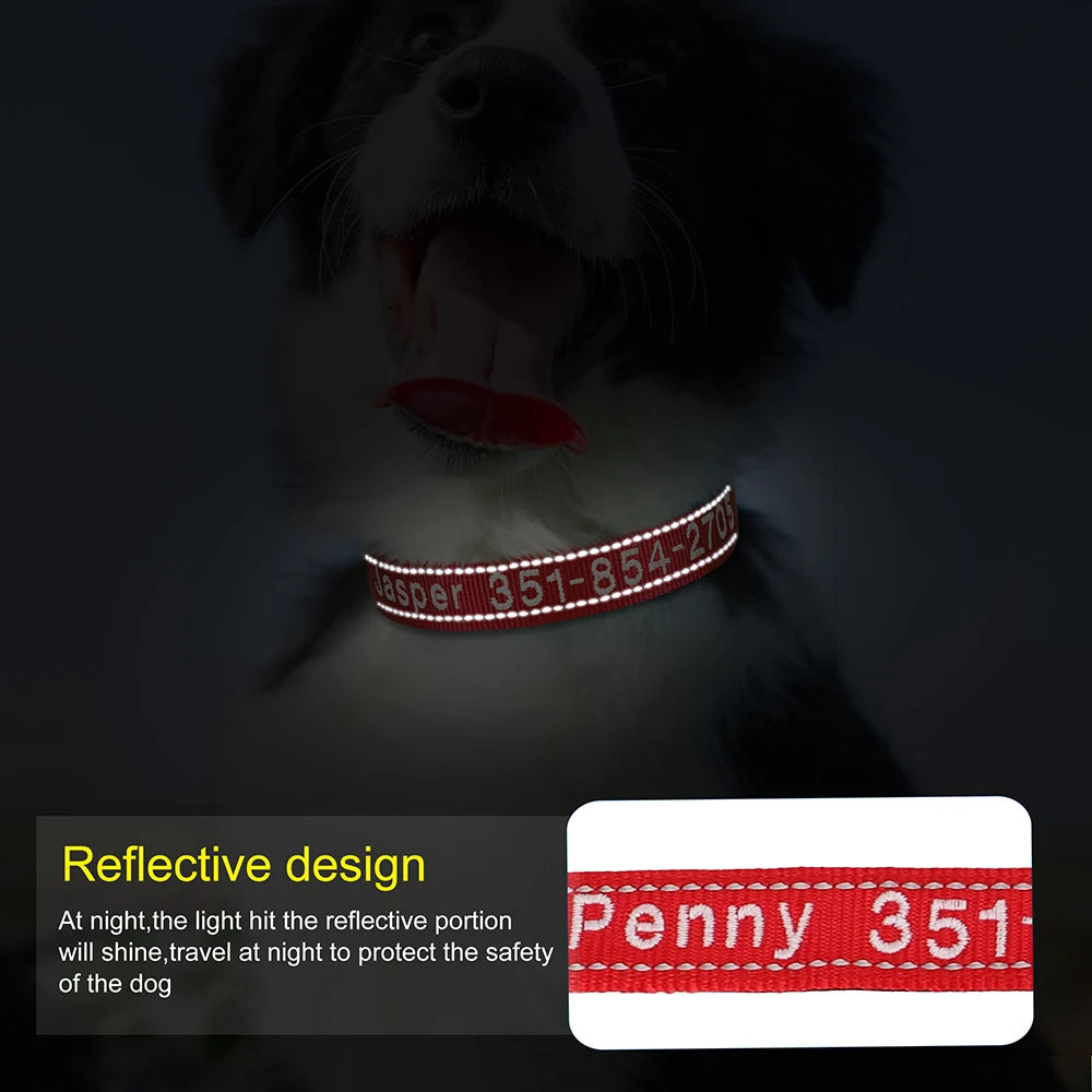 Collier pour chien