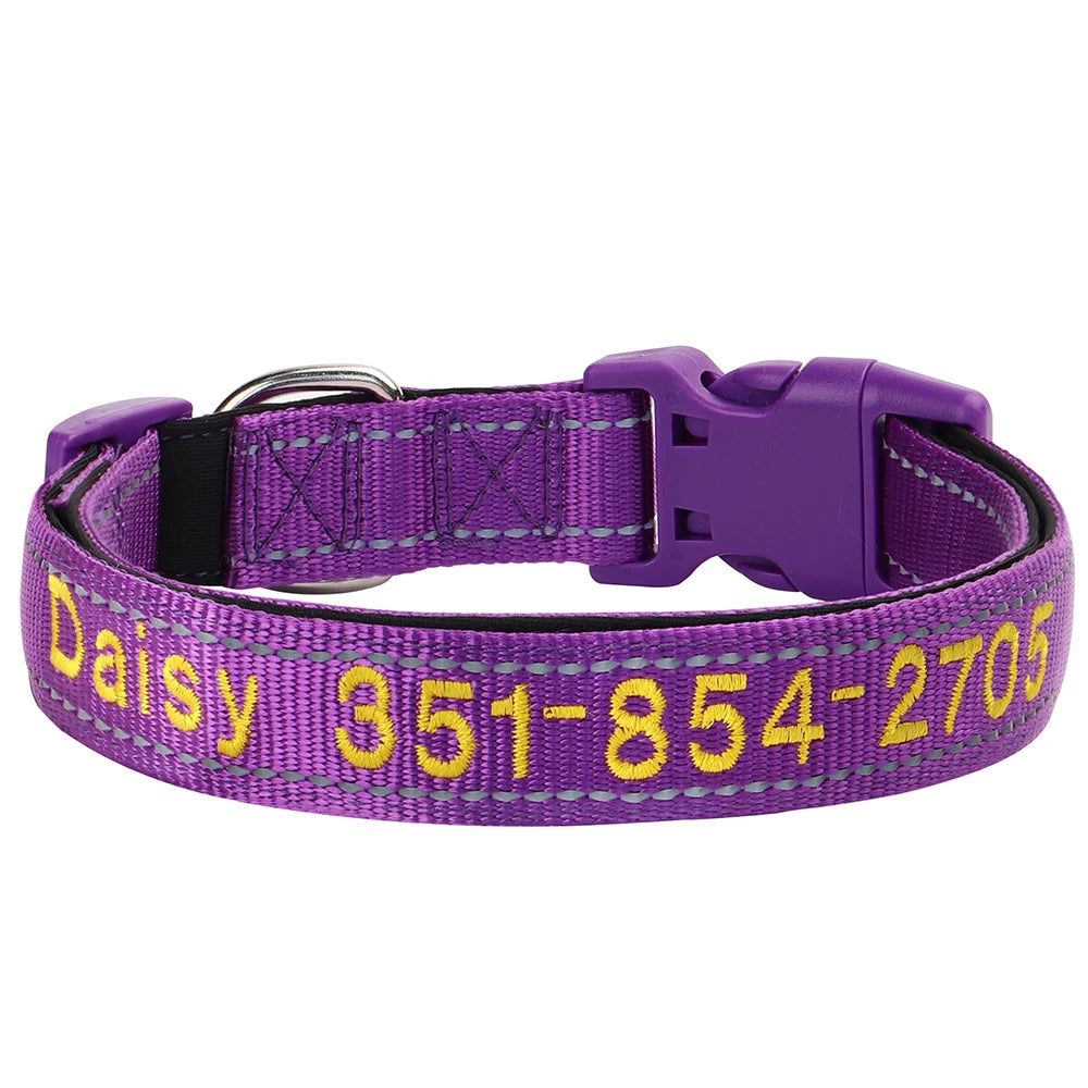 Collier pour chien
