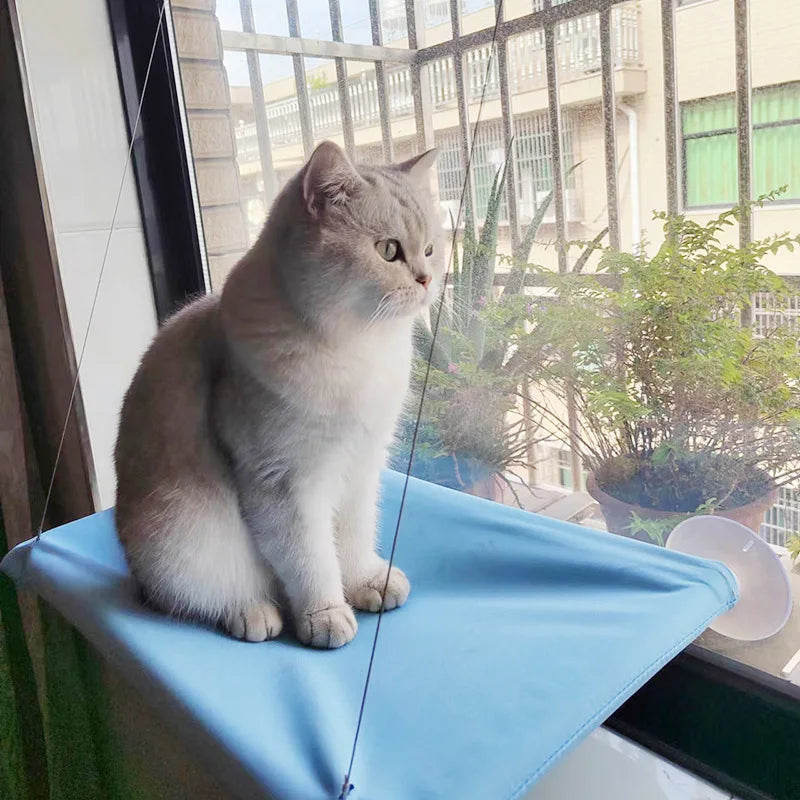Hamac suspendu pour chat, supportant jusqu'à 20 kg