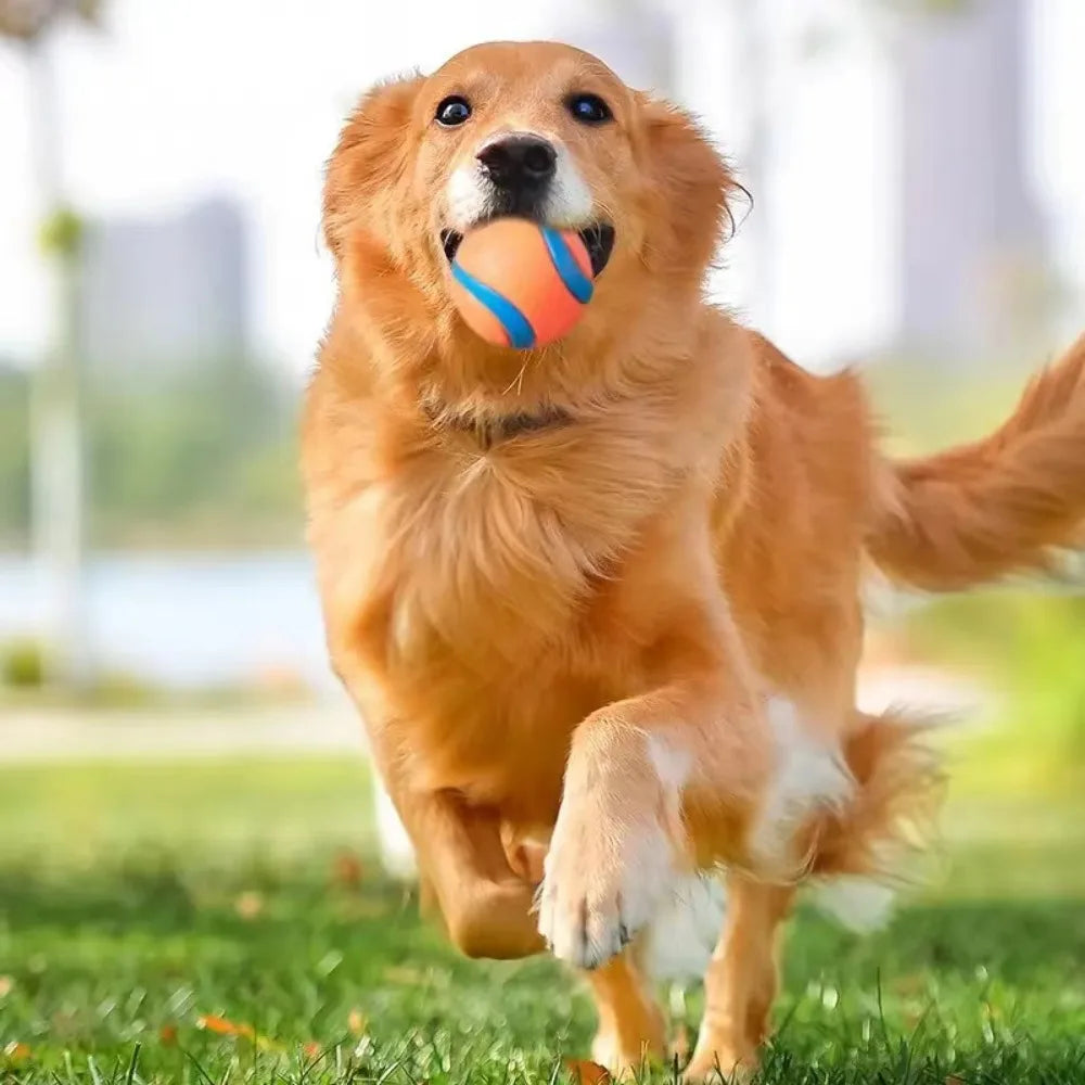 Balle résistante pour chien, jouet à rapporter