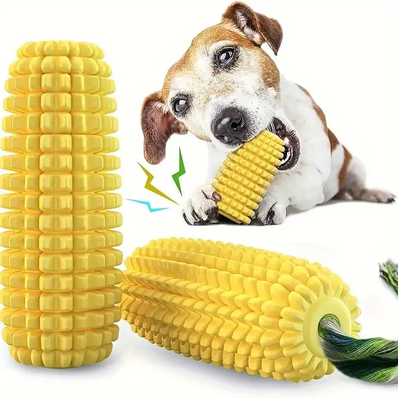 Jouet pour chien