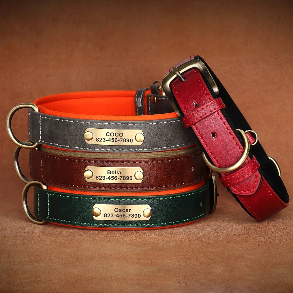Collier pour chien