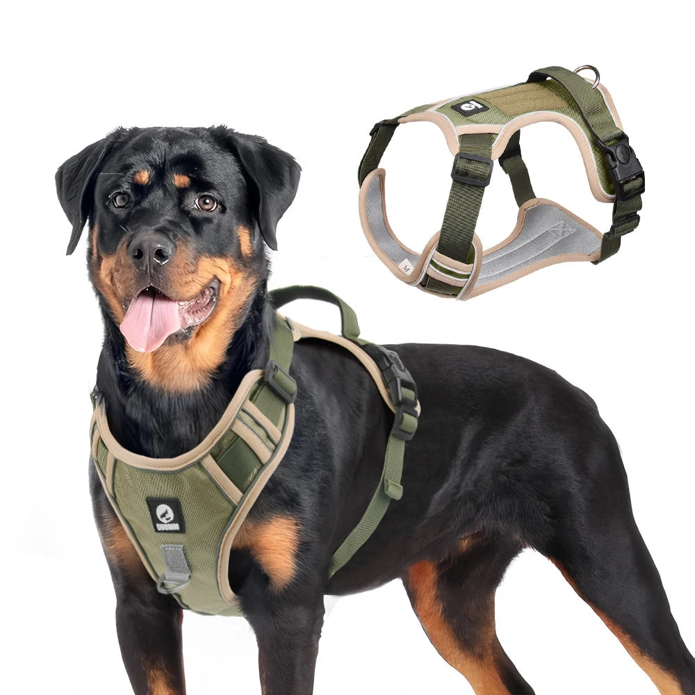 Harnais pour chien
