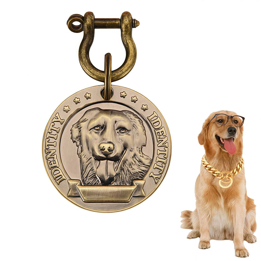 Collier VIP personnalisé avec numéro de téléphone et adresse