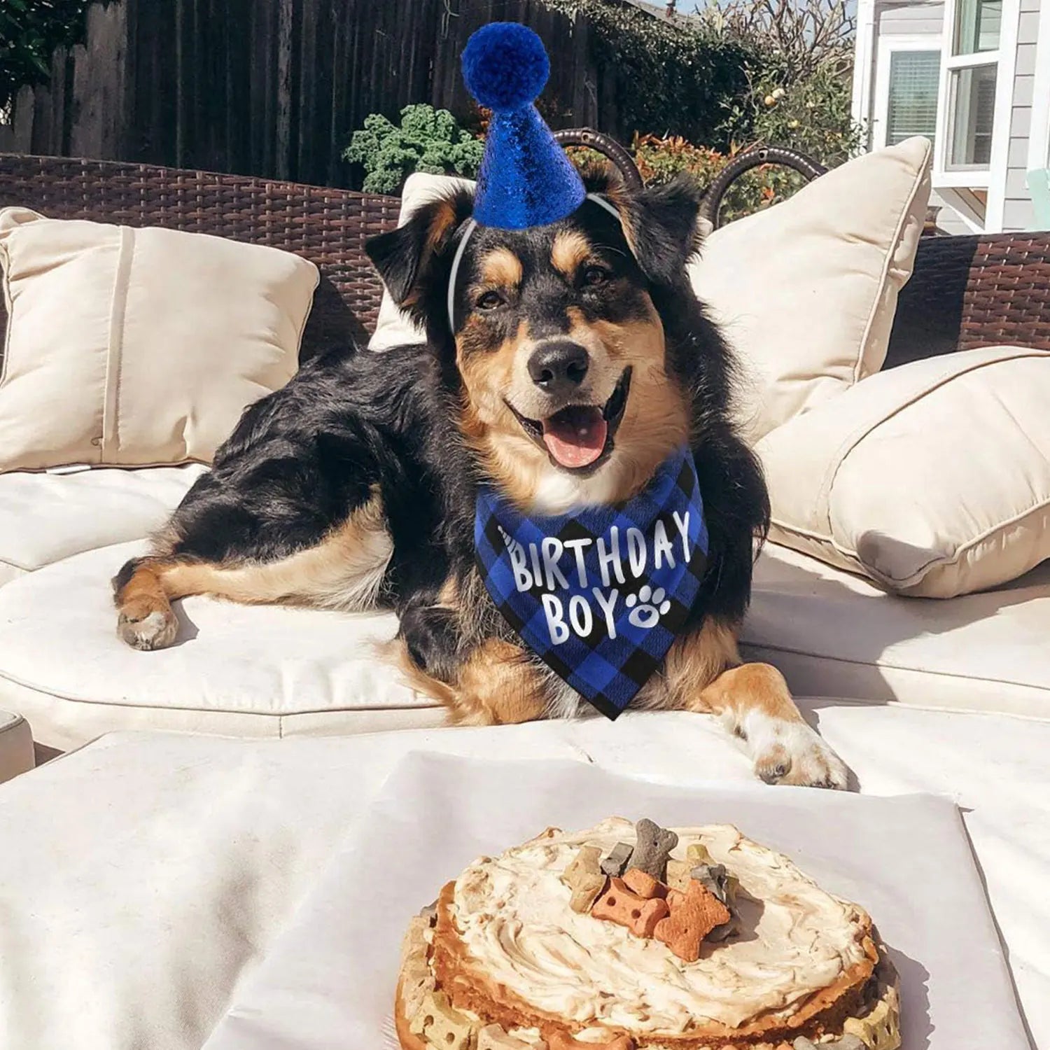 Ensemble de 4 articles pour fête d'anniversaire de chien : bandana « Birthday Boy », chapeau d'anniversaire avec chiffres pour chiens