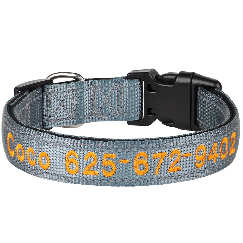 Collier pour chien