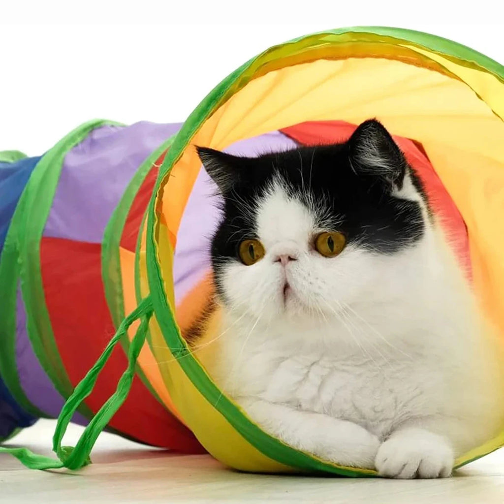 Tunnel pour chat pliable, jouet d'entraînement interactif et amusant