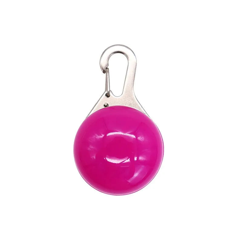Collier lumineux LED pour chien et chat