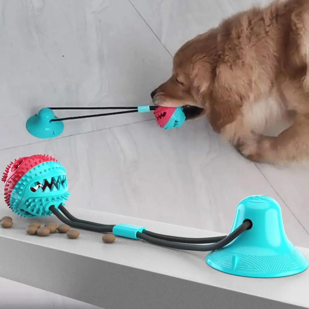 Jouet pour chien
