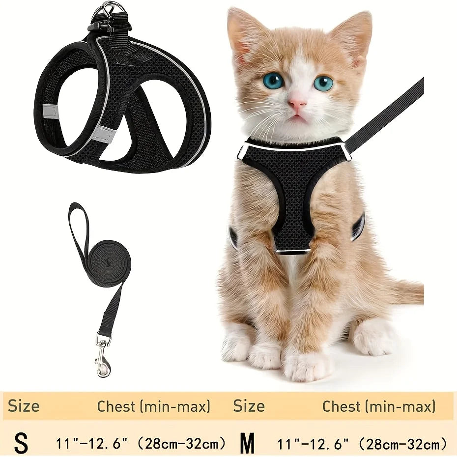 Ensemble harnais et laisse pour chien pour la promenade