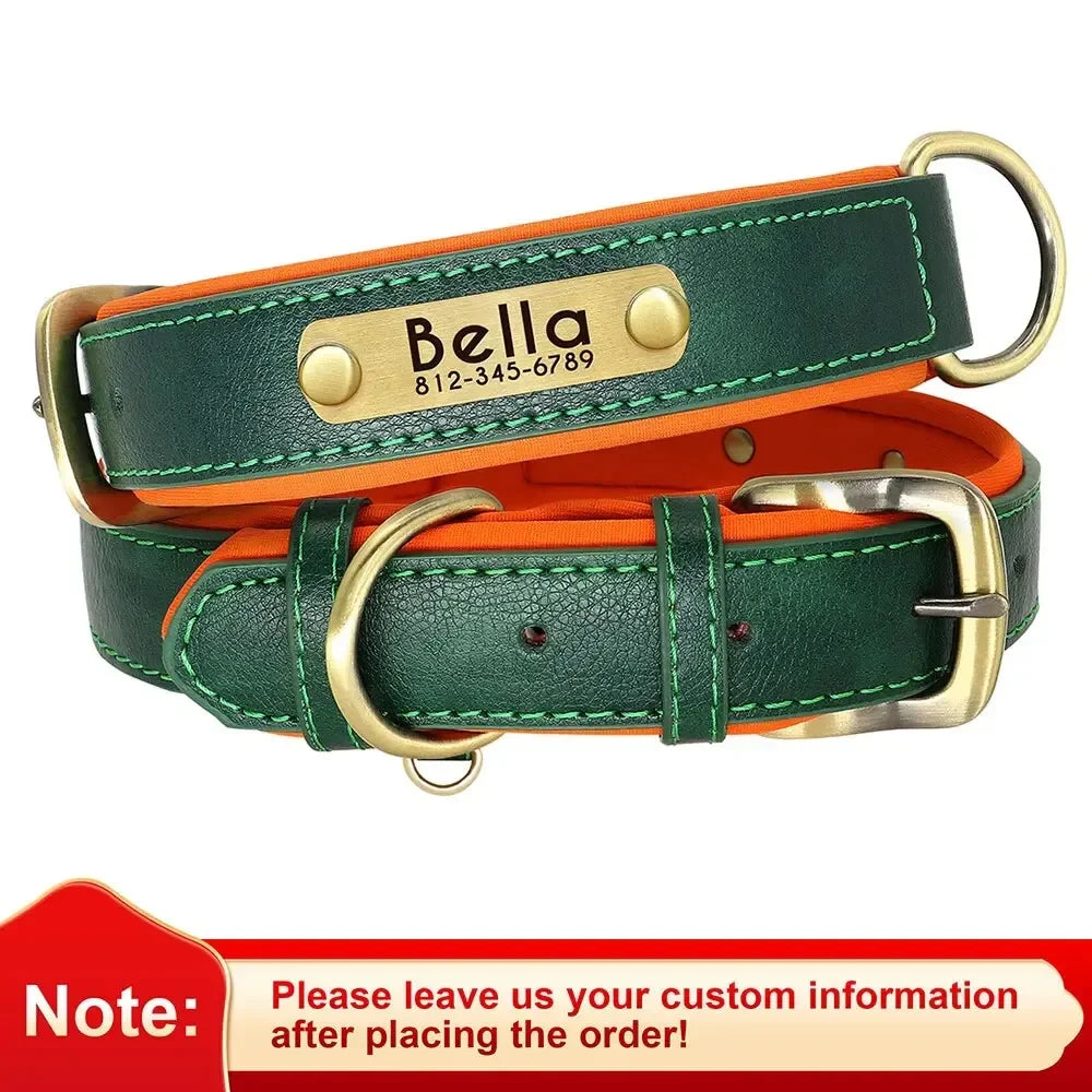 Collier pour chien