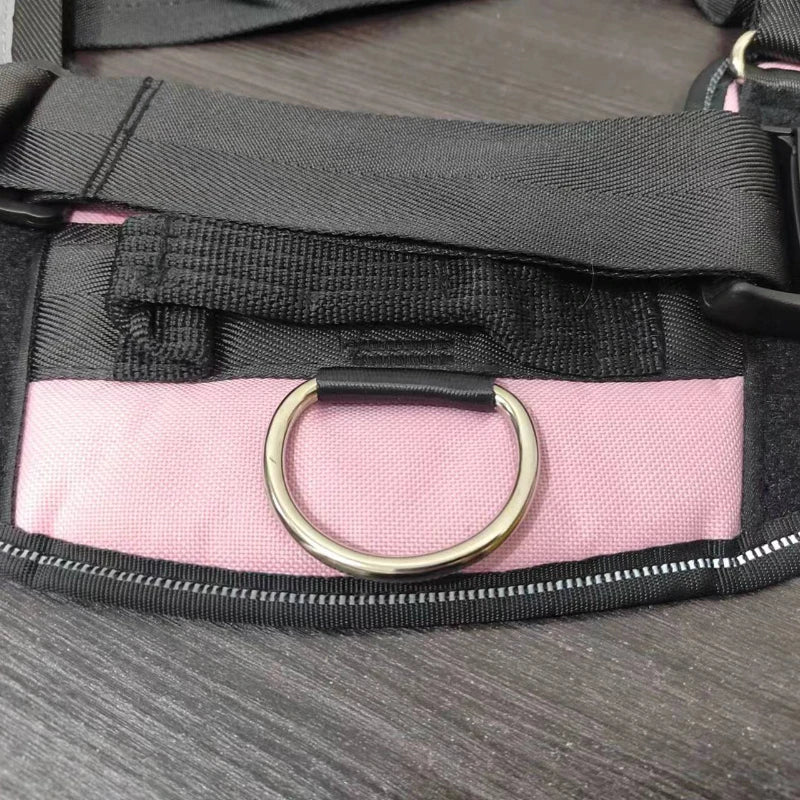 Harnais pour chien personnalisé, réfléchissant et réglable
