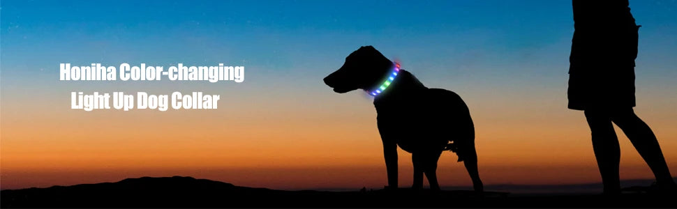 Collier lumineux LED étanche en PVC
