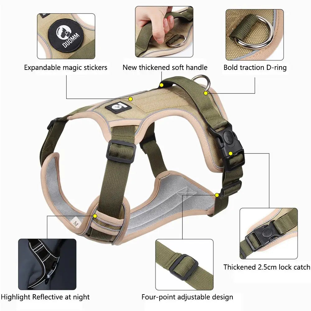 Harnais pour chien