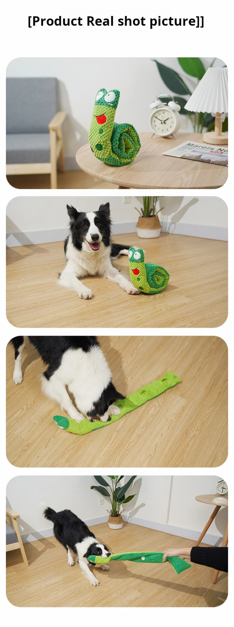 Jouet pour chien