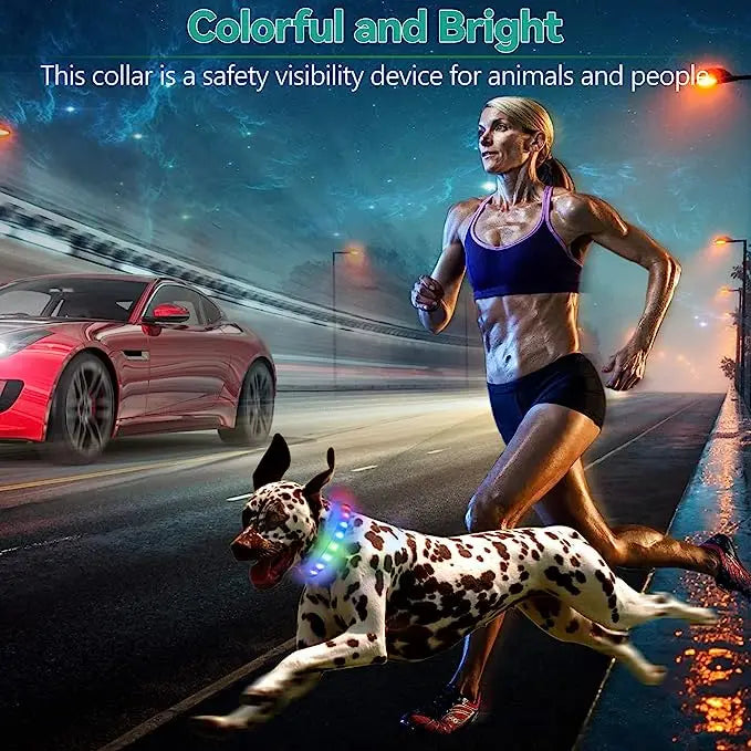 Collier lumineux LED étanche en PVC