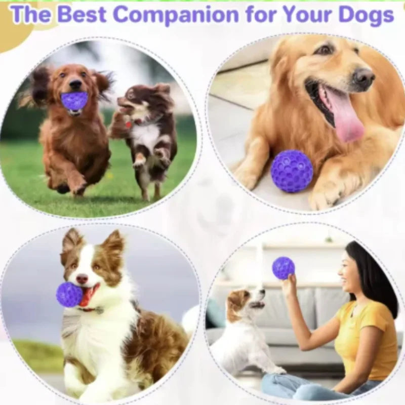 Balle interactive indestructible en caoutchouc à mâcher pour chiens de petite