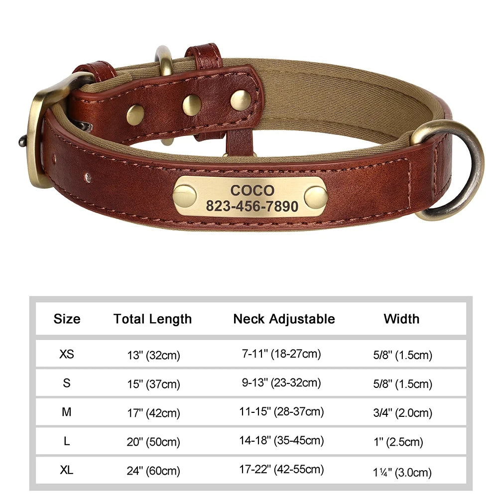 Collier pour chien