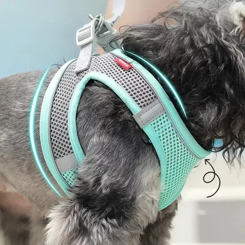 Ensemble harnais pour chiot