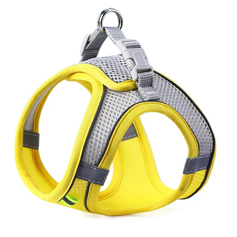 Harnais pour chat et chien, gilet, cordelette de poitrine, ensemble réfléchissant, respirant et réglable