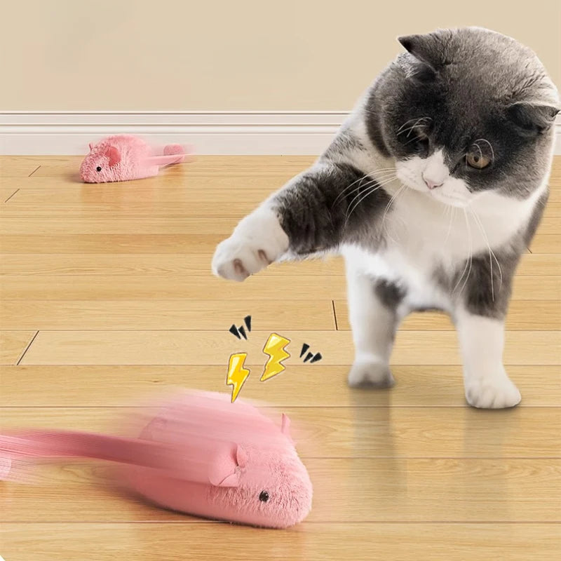 Souris en peluche interactive pour chat