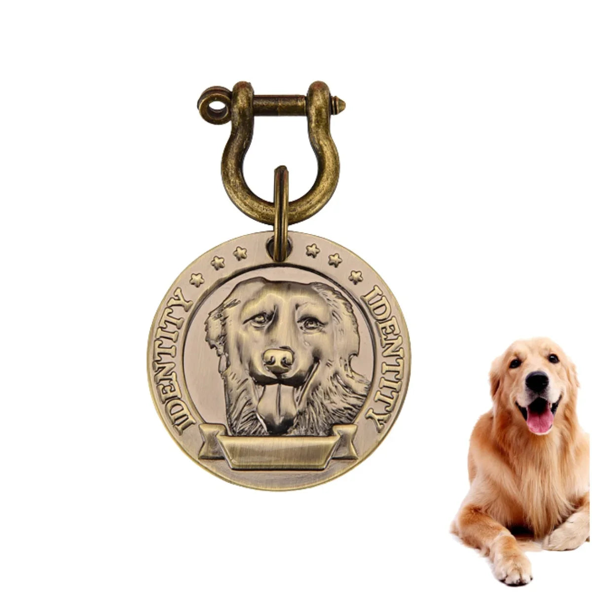 Collier VIP personnalisé avec numéro de téléphone et adresse