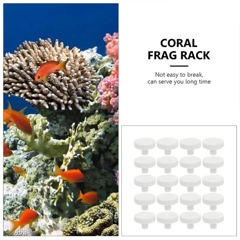 socles décoratifs pour aquarium