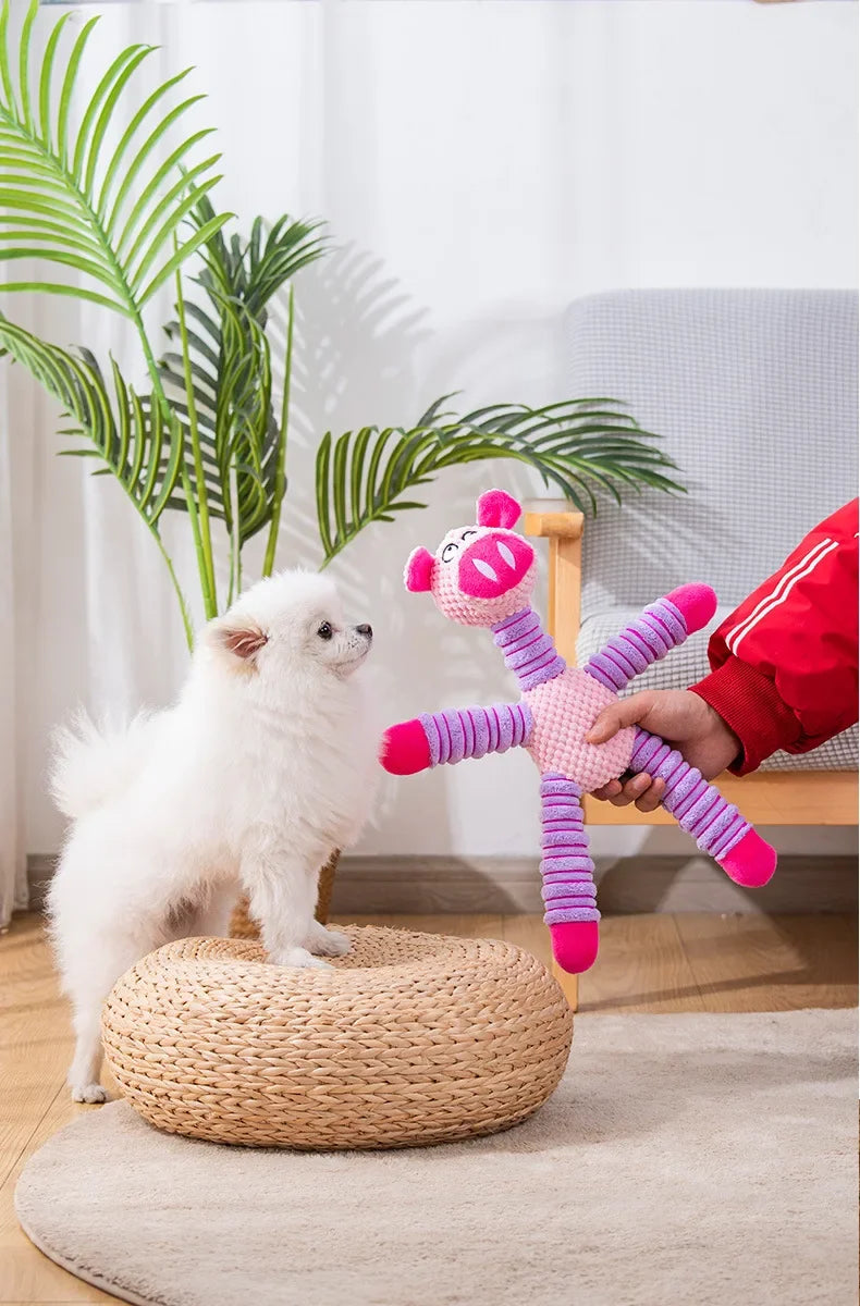 Jouet pour chien