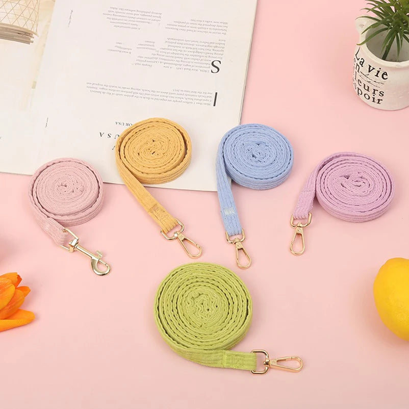 Ensemble harnais et laisse pour petits chiens