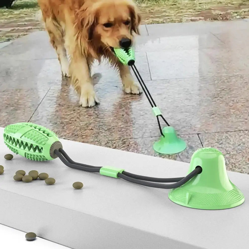 Jouet pour chien
