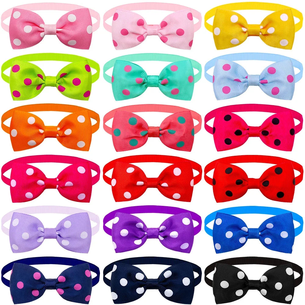 Collier pour chien
