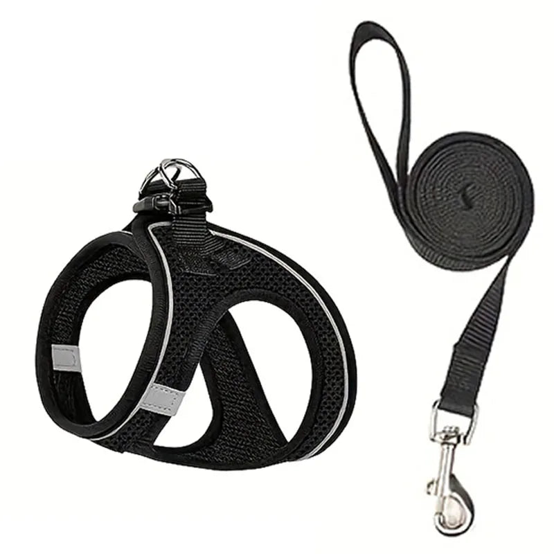 Ensemble harnais et laisse pour chien pour la promenade