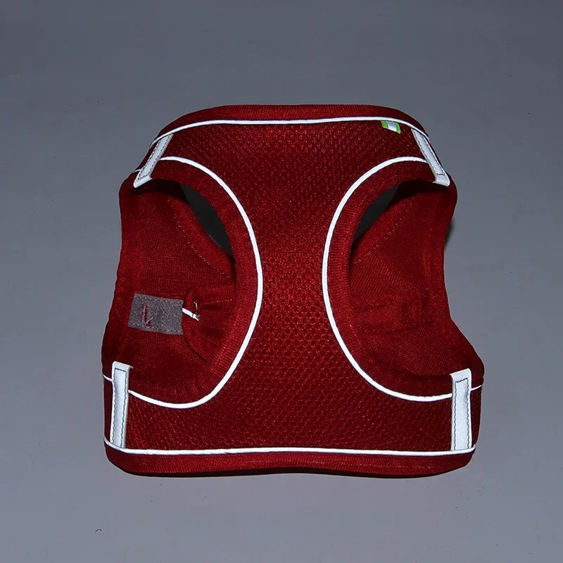 Ensemble harnais pour chiot