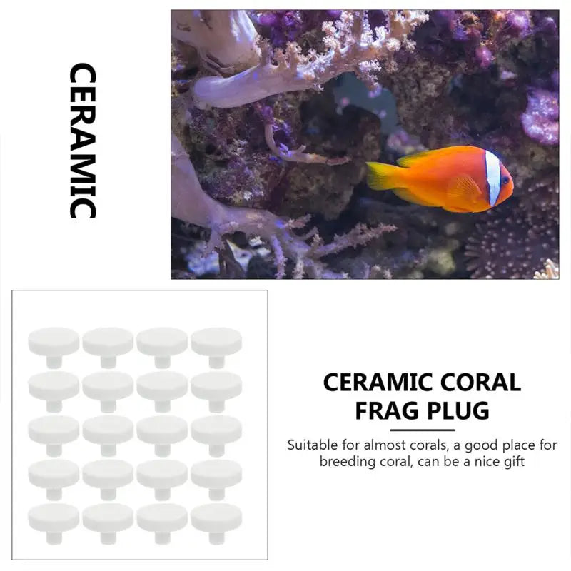 socles décoratifs pour aquarium