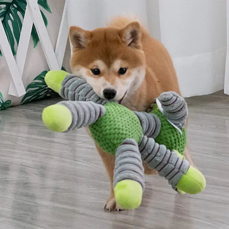 Jouet pour chien