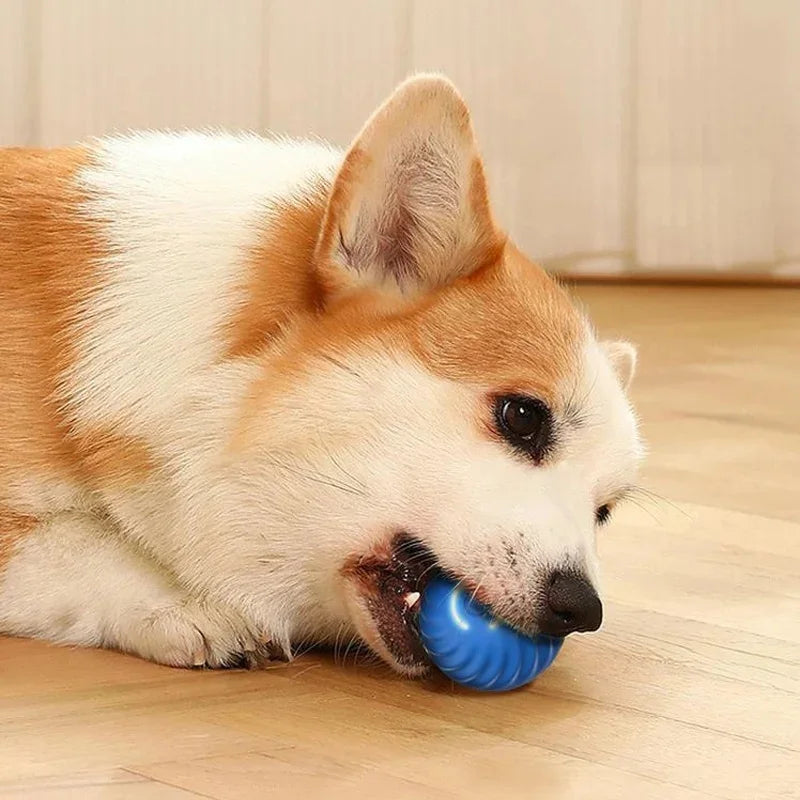 Balle jouet intelligente pour chien