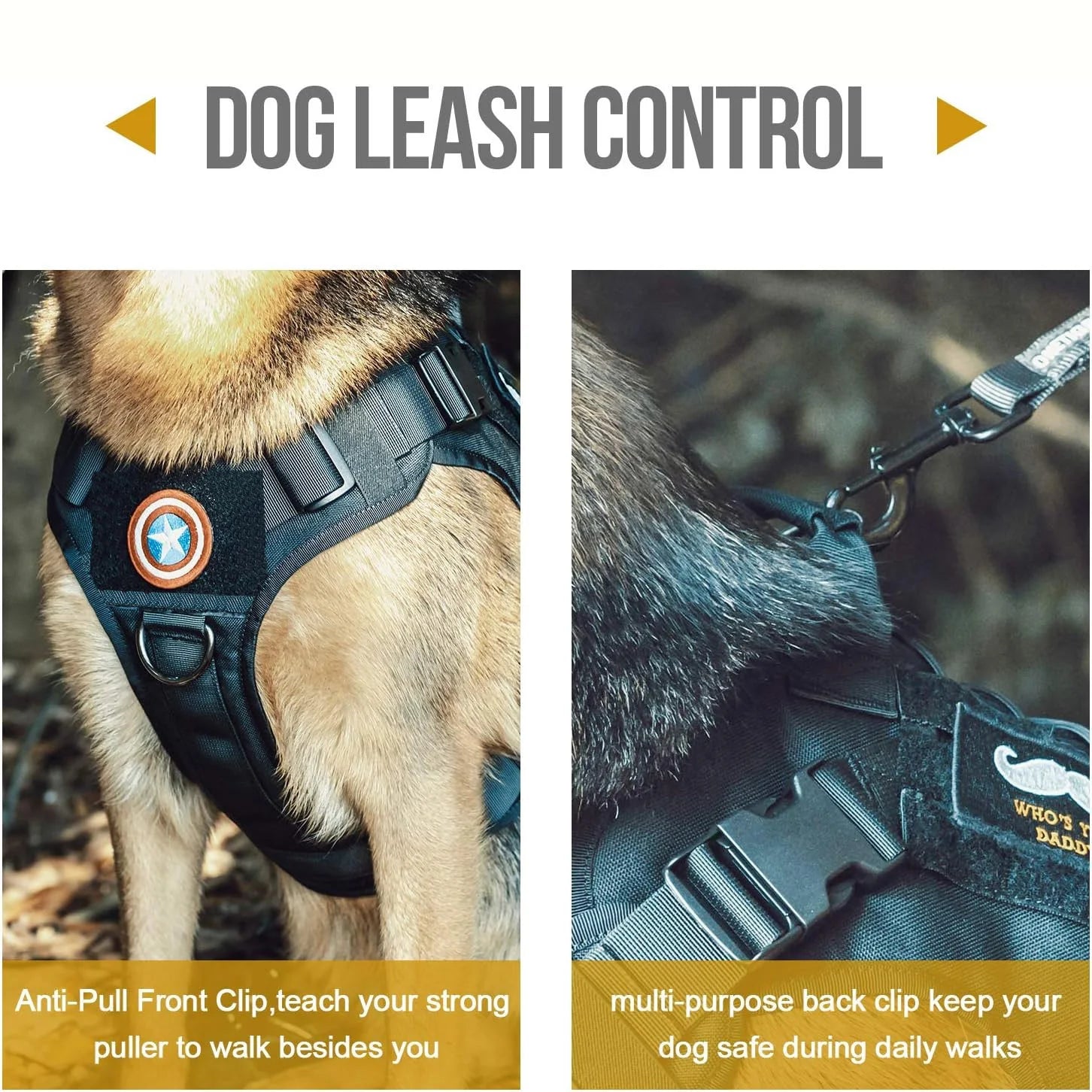 Harnais pour chien