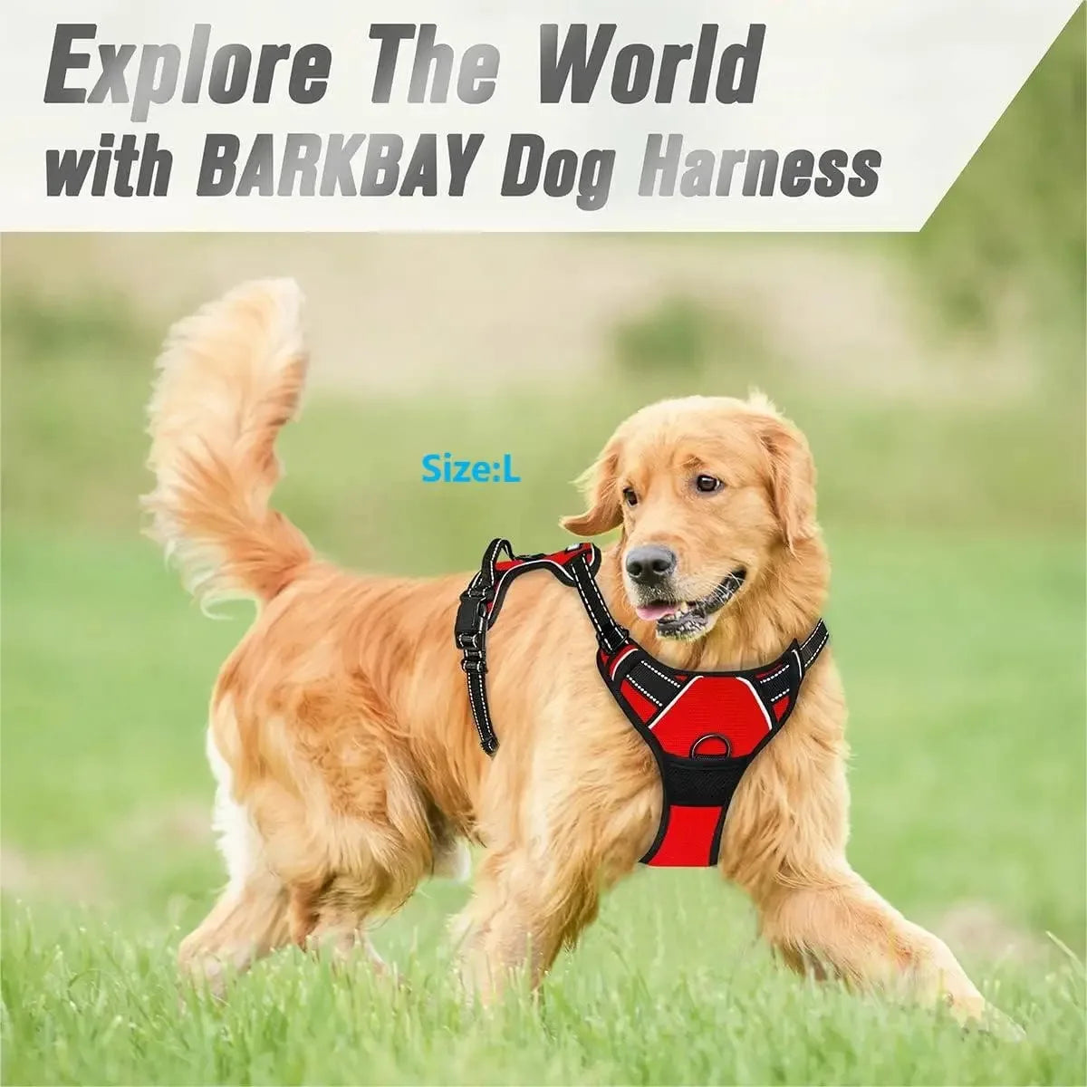 Gillet harnais